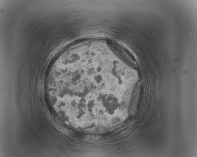 X0000083980487200703161601