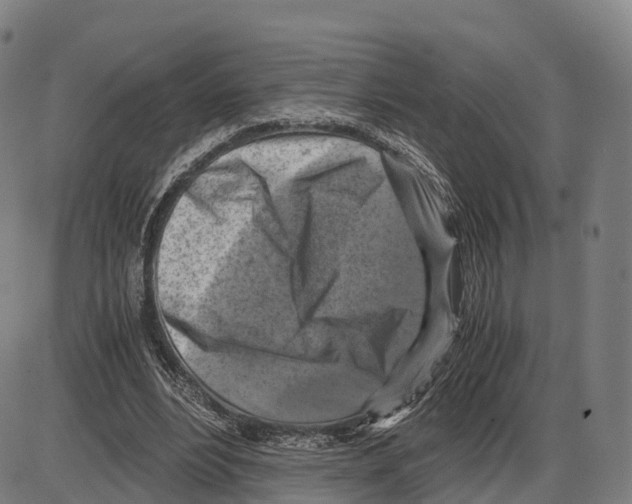 X0000083980488200703161601