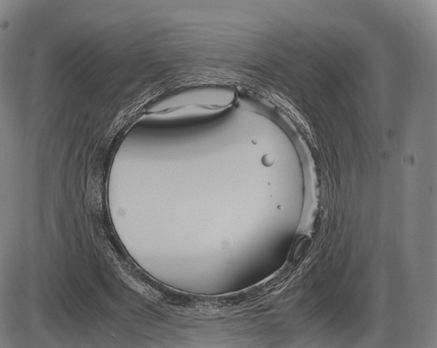 X0000083980489200703161601