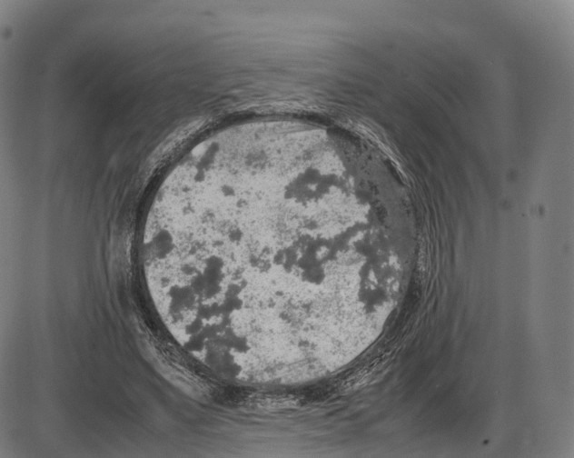 X0000083980491200703161601