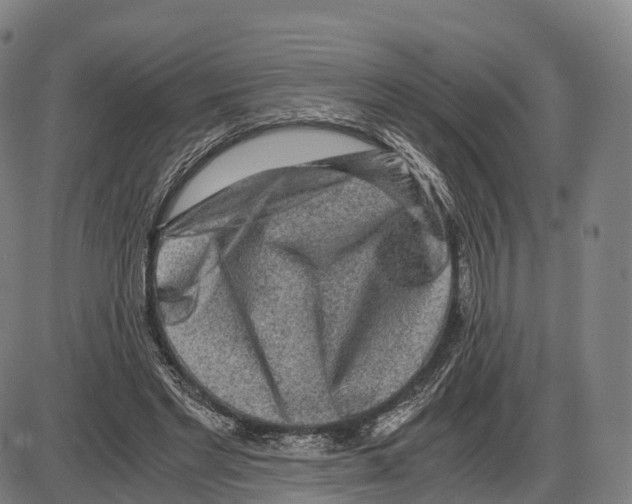 X0000083980493200703161601