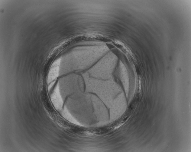 X0000083980496200703161601