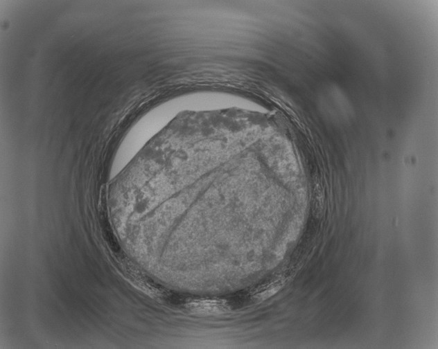 X0000083980499200703161600