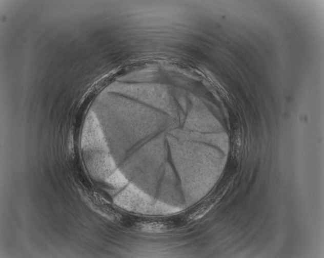 X0000083980500200703161600