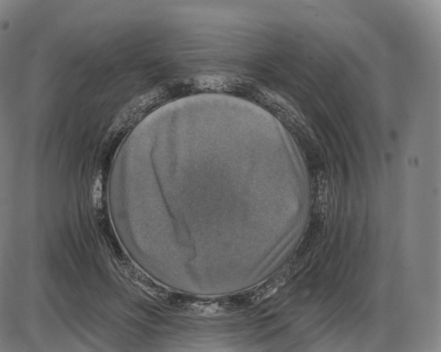 X0000083980502200703161600