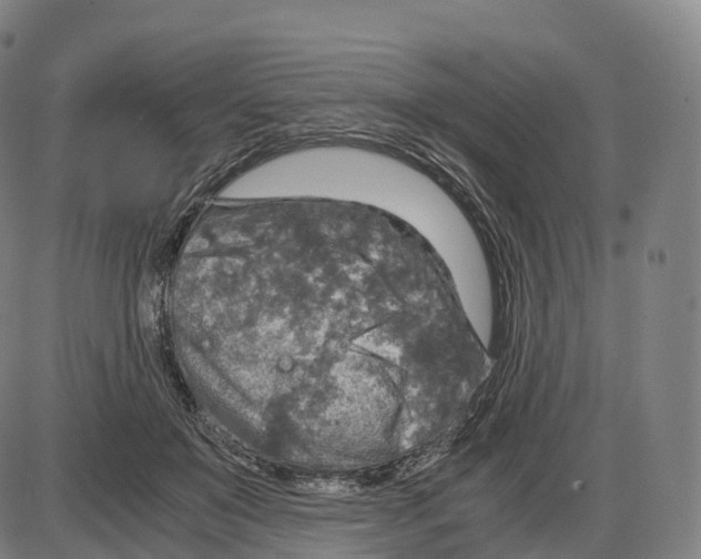 X0000083980503200703161600