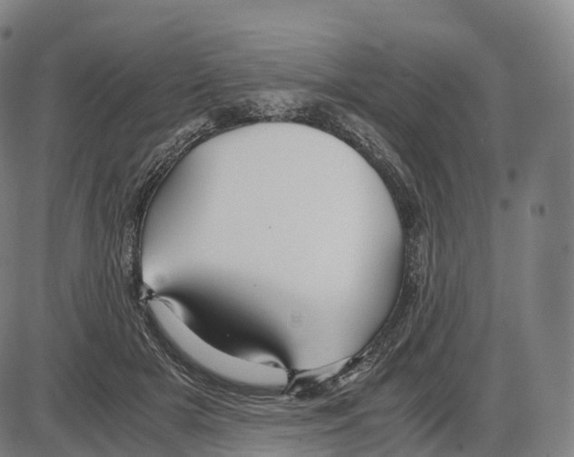 X0000083980505200703161600