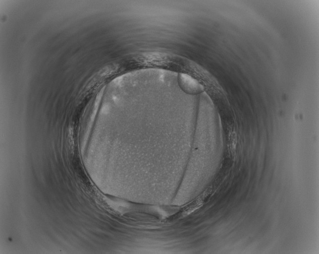 X0000083980506200703161600