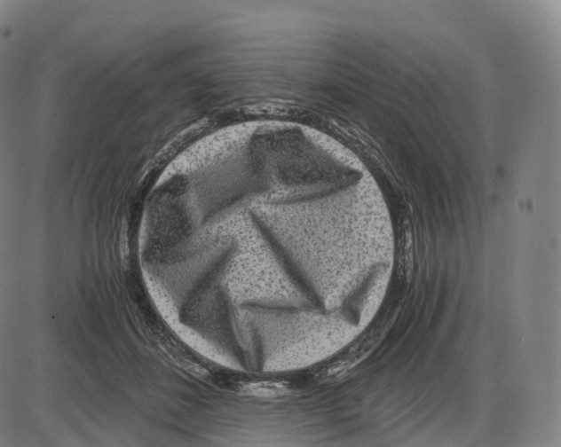 X0000083980508200703161600