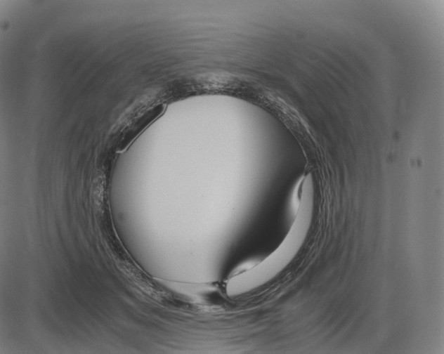 X0000083980509200703161600