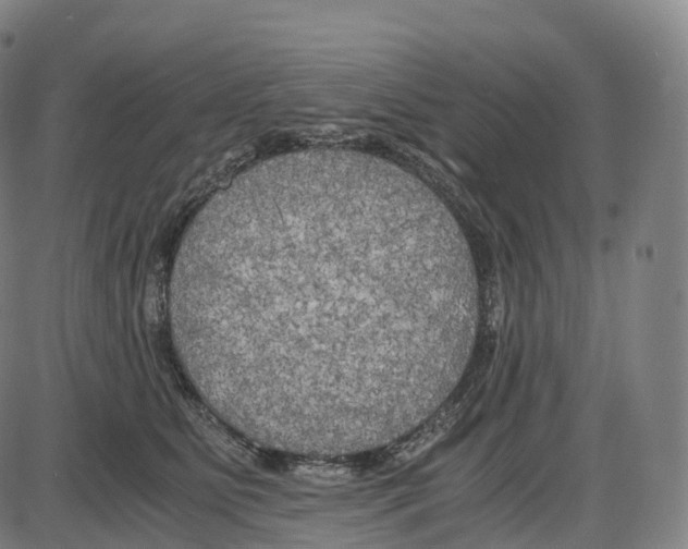 X0000083980515200703161600