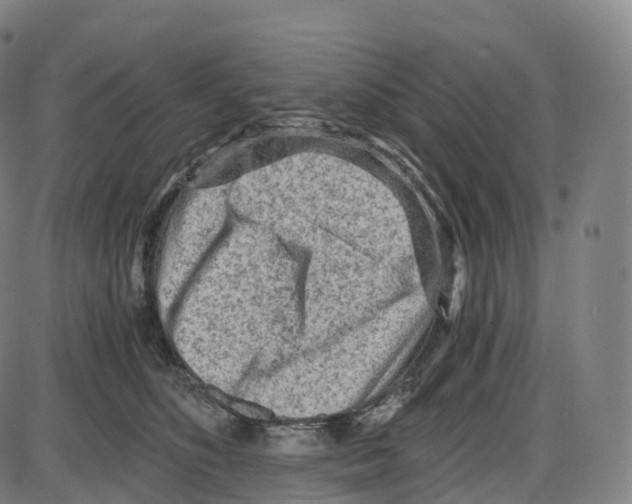 X0000083980516200703161600