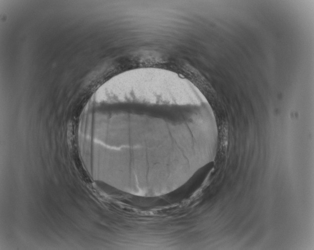 X0000083980519200703161600