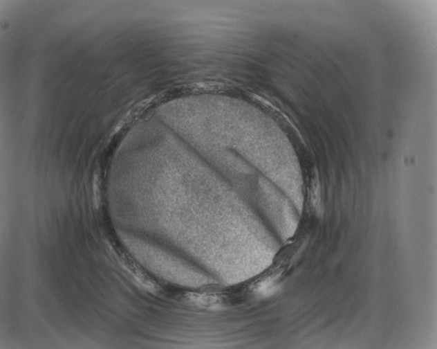 X0000083980520200703161600