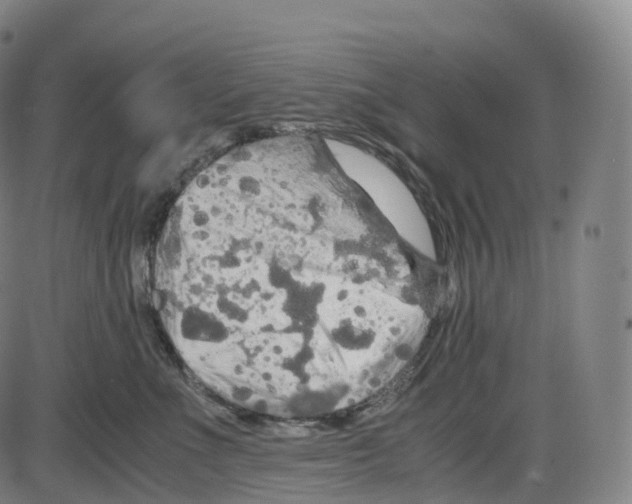 X0000083980523200703161600