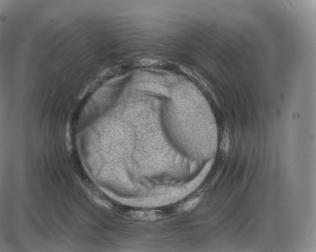 X0000083980524200703161600