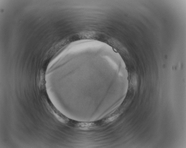 X0000083980526200703161600