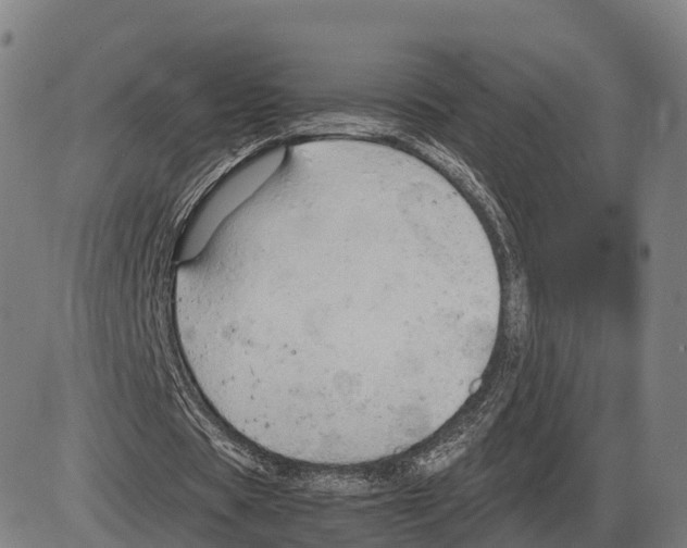 X0000083980529200703161559