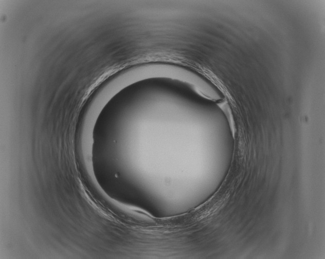 X0000083980530200703161559