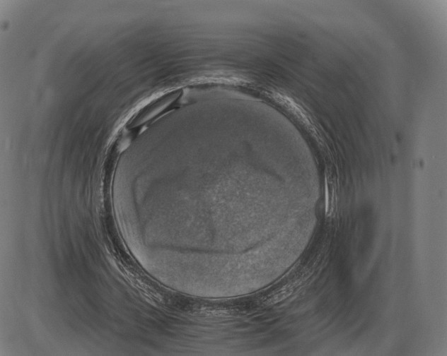 X0000083980531200703161559