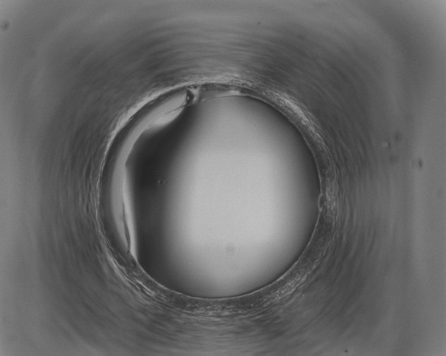 X0000083980532200703161559