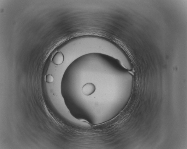 X0000083980534200703161559