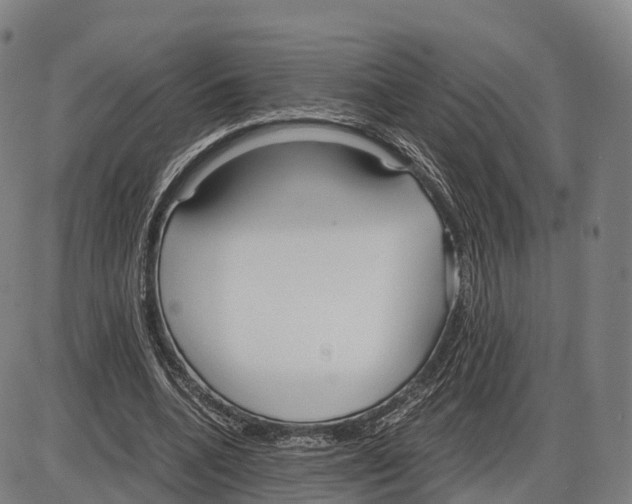 X0000083980536200703161559