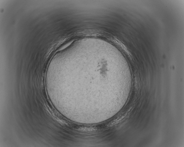 X0000083980537200703161559