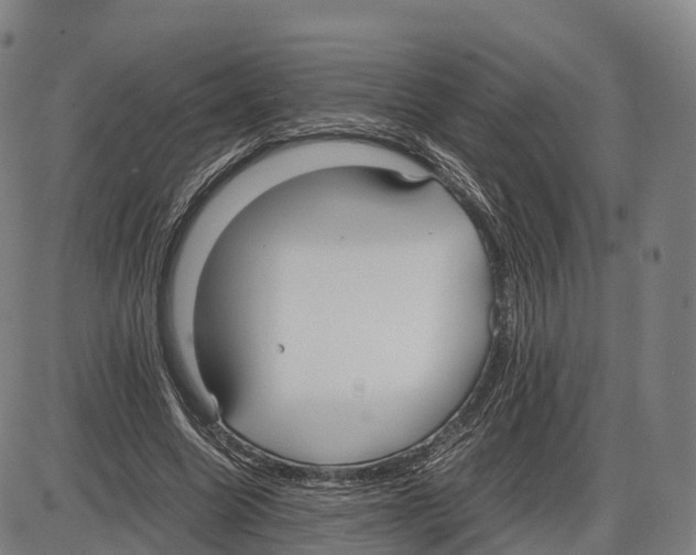 X0000083980538200703161559