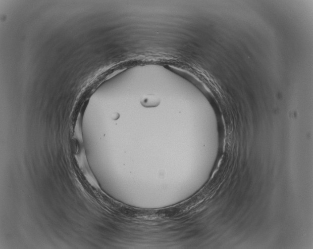 X0000083980540200703161559