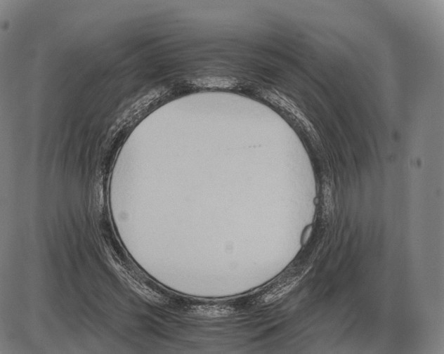 X0000083980541200703161559