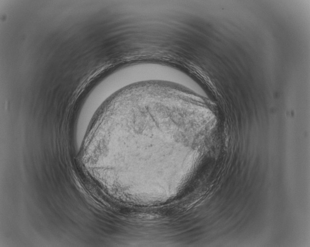 X0000083980542200703161559