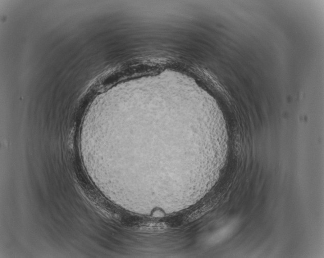 X0000083980543200703161559