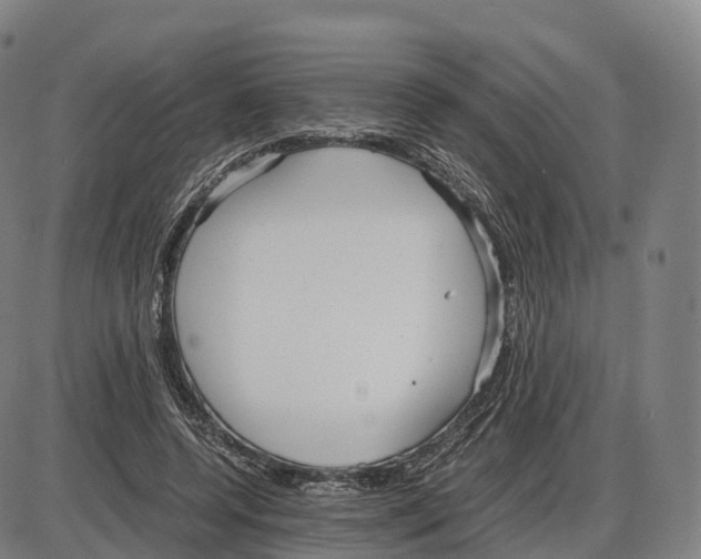 X0000083980544200703161559