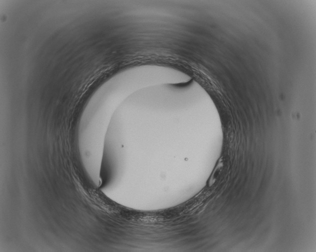 X0000083980546200703161559