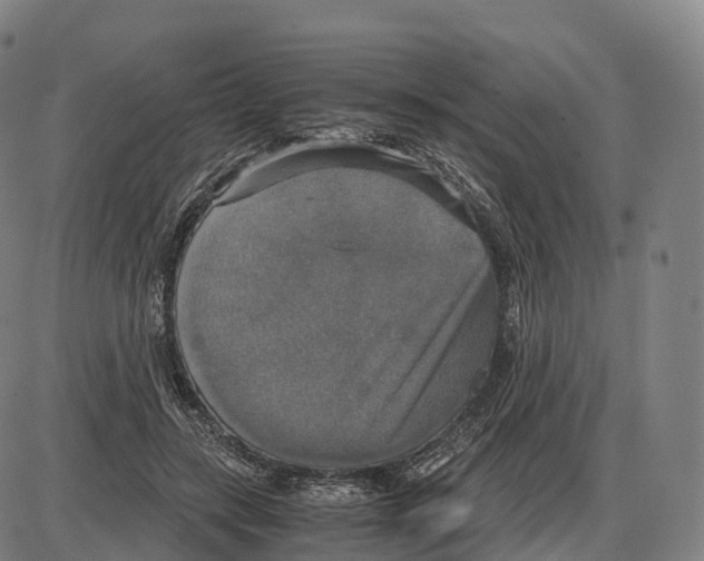 X0000083980547200703161559