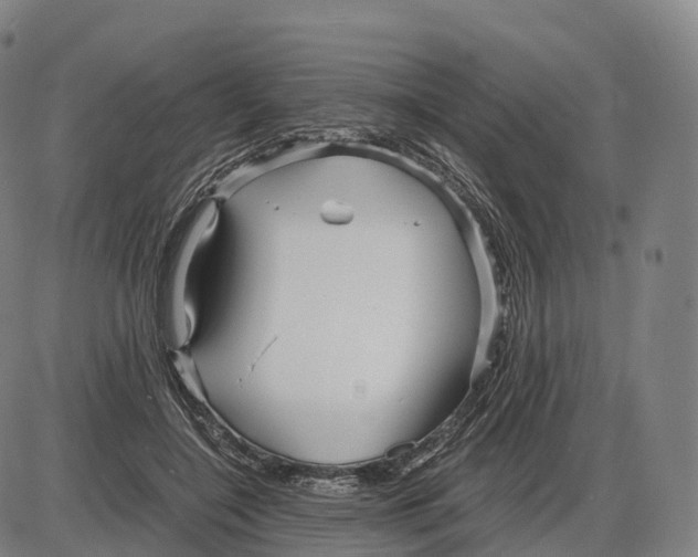 X0000083980548200703161559