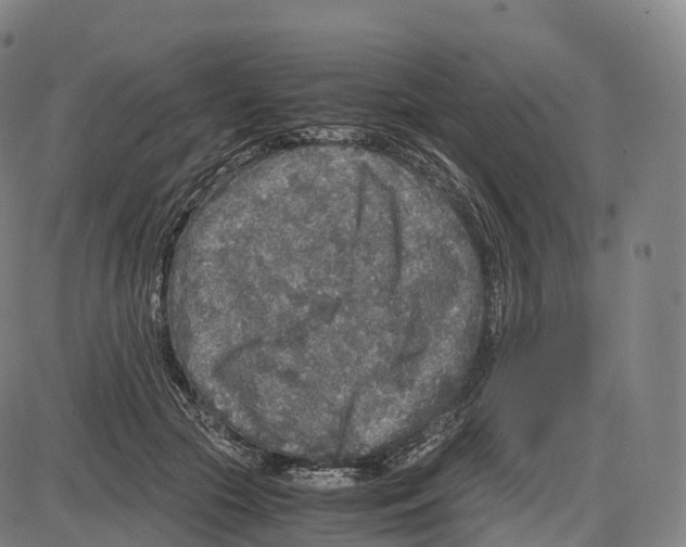 X0000083980553200703161600