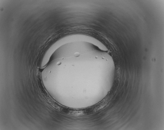 X0000083980554200703161600