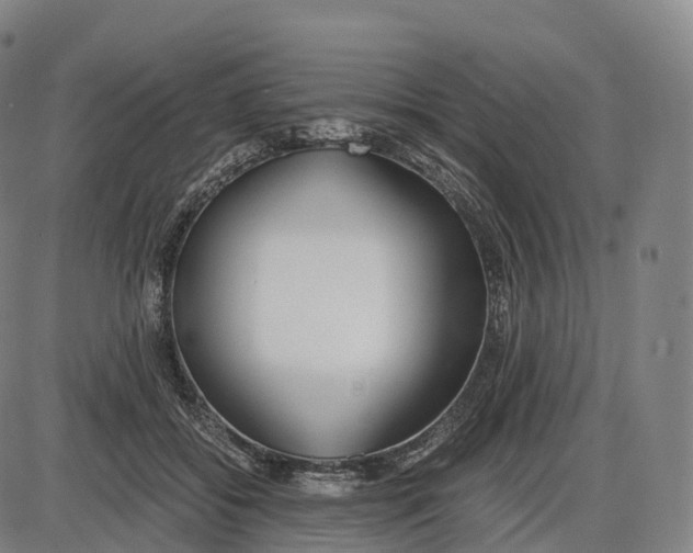 X0000083980556200703161600