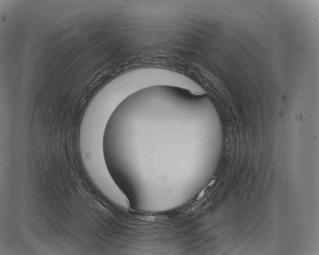 X0000083980558200703161600