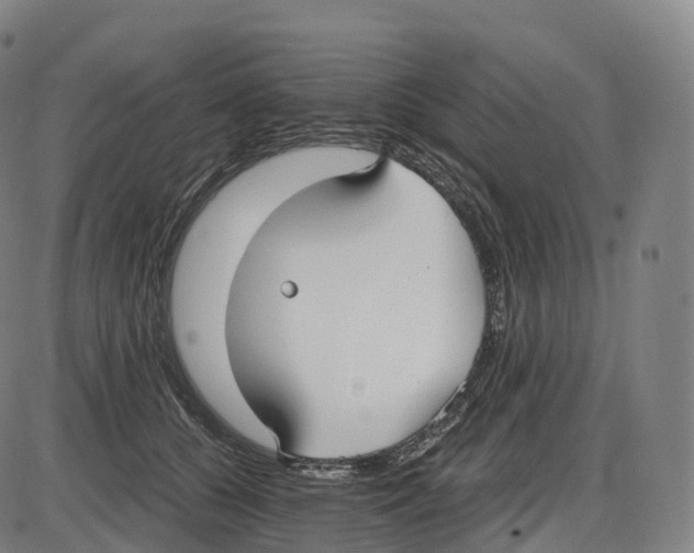 X0000083980560200703161600