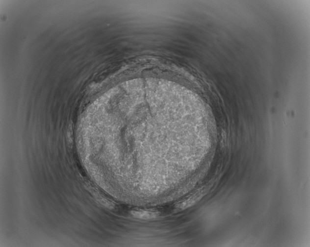 X0000083980561200703161600