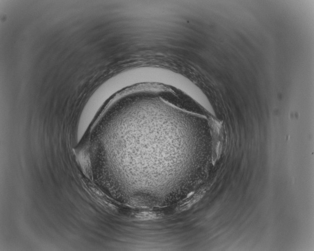 X0000083980562200703161600