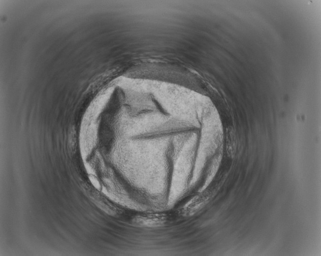 X0000083980563200703161600