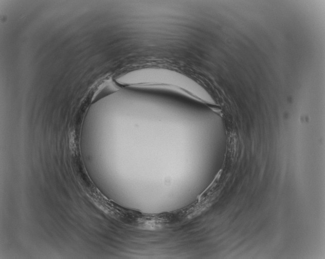 X0000083980564200703161600