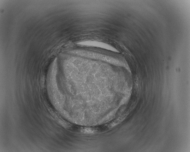 X0000083980565200703161600