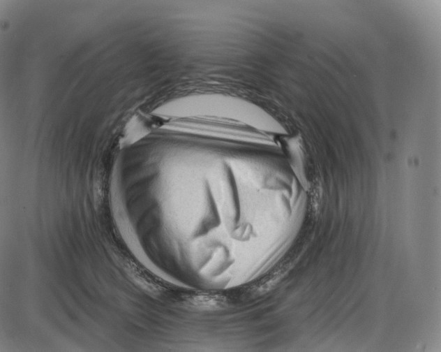 X0000083980566200703161600