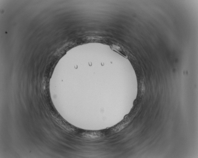 X0000083980567200703161600