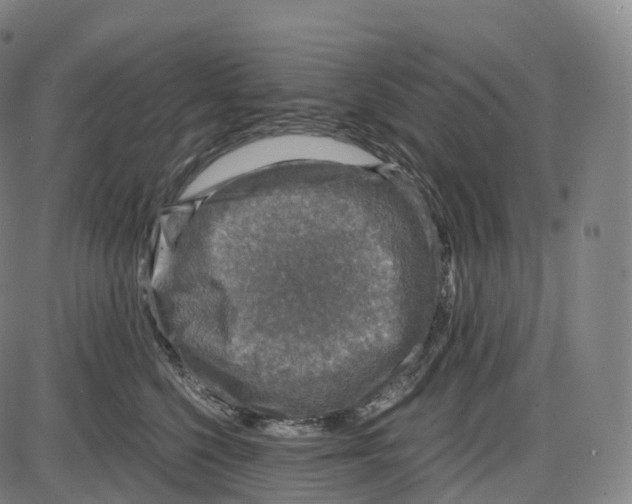 X0000083980568200703161600